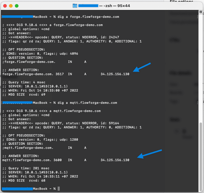 Screenshot showing output of the dig command
