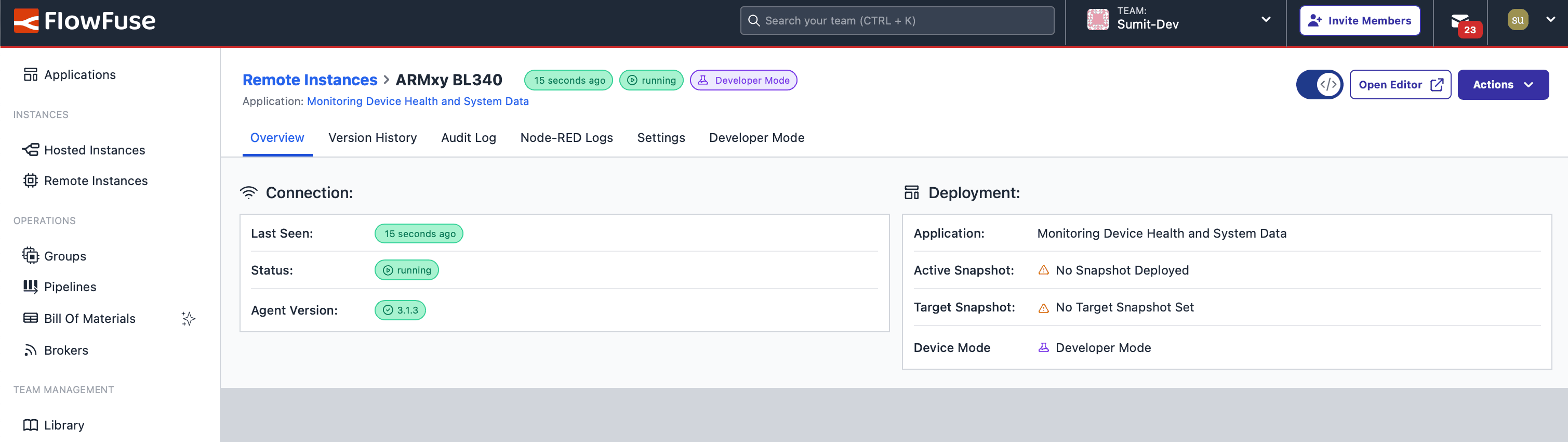 "Status of the BLIIOT ARMxy BL340 remote instance in FlowFuse, showing its connection and operational state"